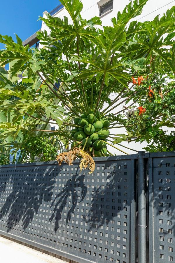 Medano4You The Strelitzia Terrace El Medano  Ngoại thất bức ảnh